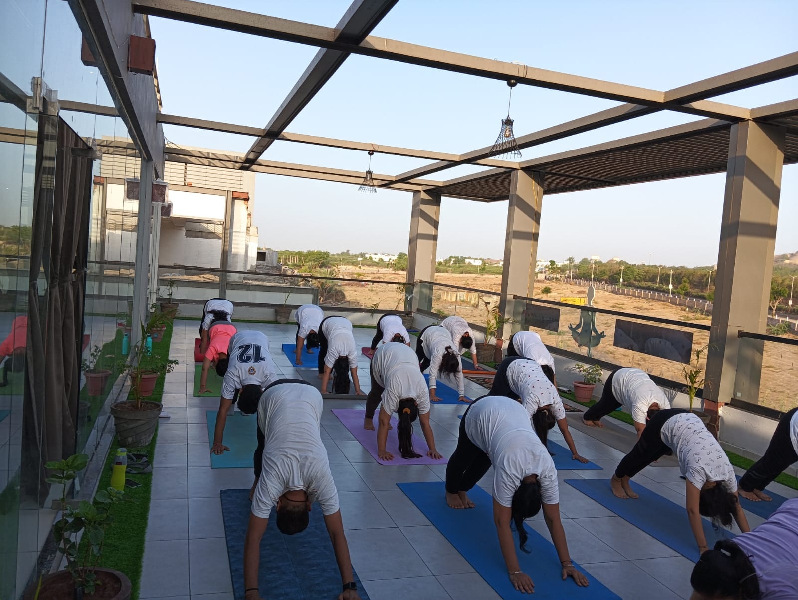 Rooftop yoga class practicing downward-facing dog together, morning light